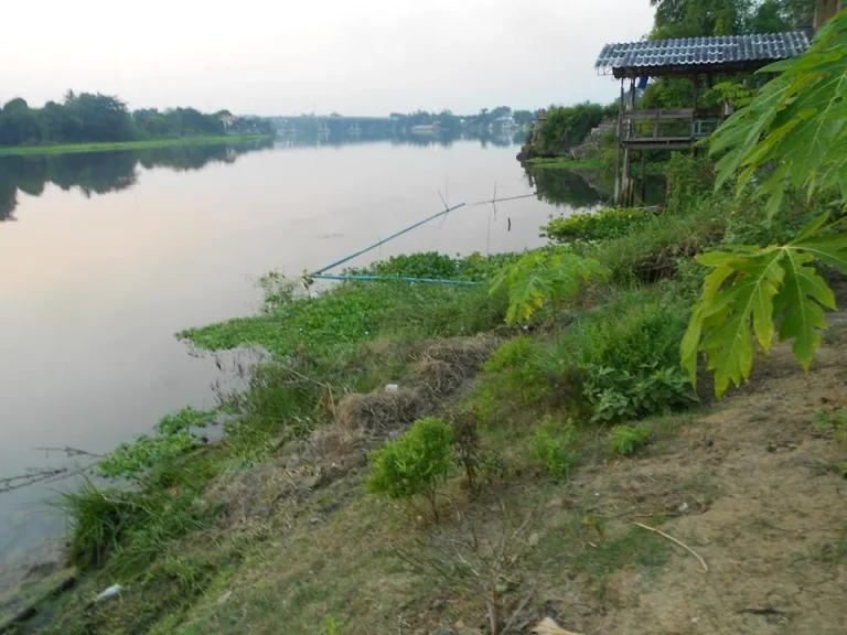 ขายที่ดินติดแม่นำ้แม่กลอง