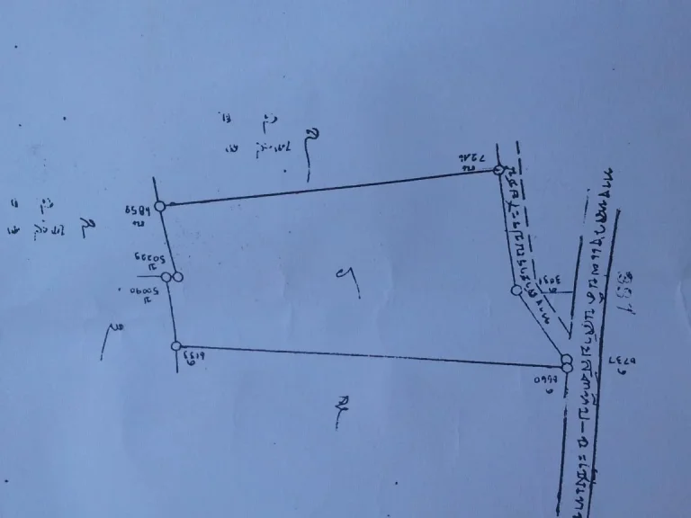 ขายที่ดิน21ไร่3งานติดถนน331มี2แปลงติดกัน