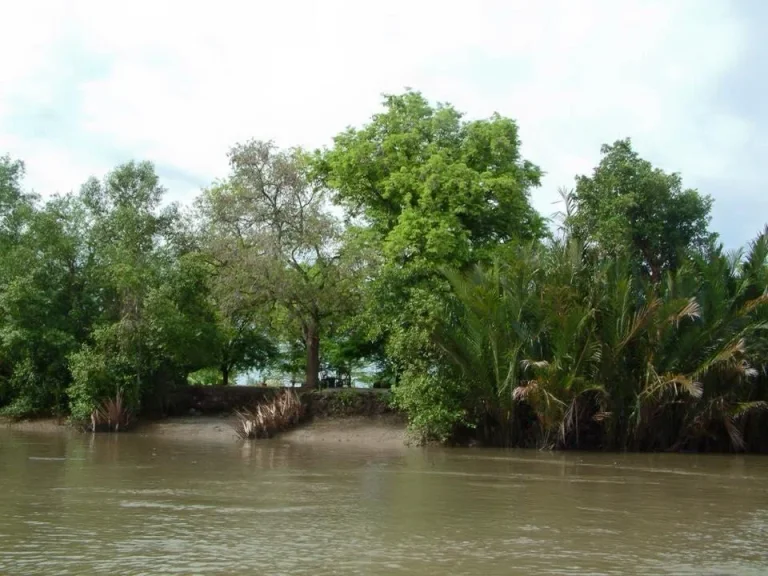 ที่ดินสวย ติดแม่น้ำบางปะกง