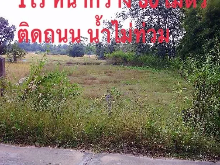 ขายที่ดิน บ้านนาดูน-หนองเค็ง ตขามใหญ่ 1 ไร่ ติดถนนคอนกรีต