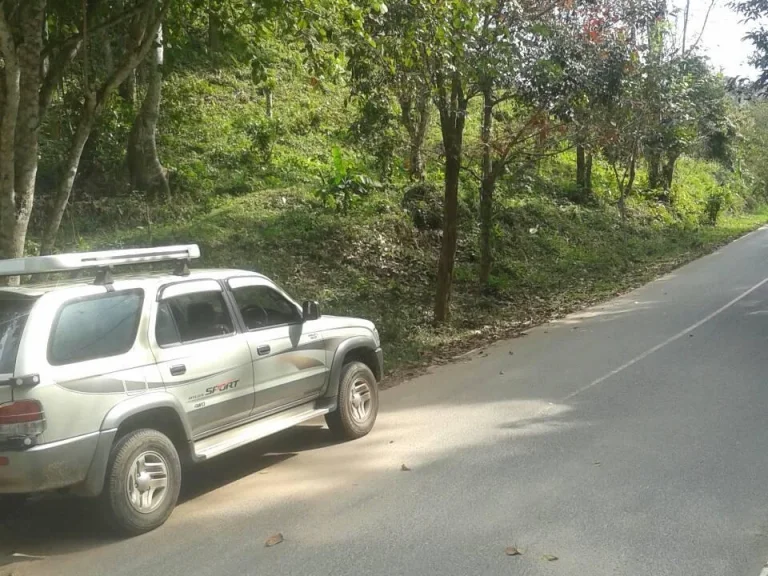 ขายที่ดินเชียงใหม่ติดลำธารและถนนลาดยาง