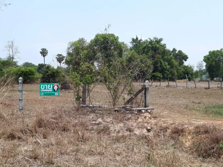 ที่ดินสร้างบ้านเนื้อที่เกือบไร่ บ้านนาอุดม ตขามใหญ่