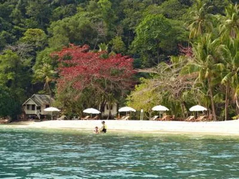 for sale Rayang Phurin Resort Rayang Island Trat THAILAND