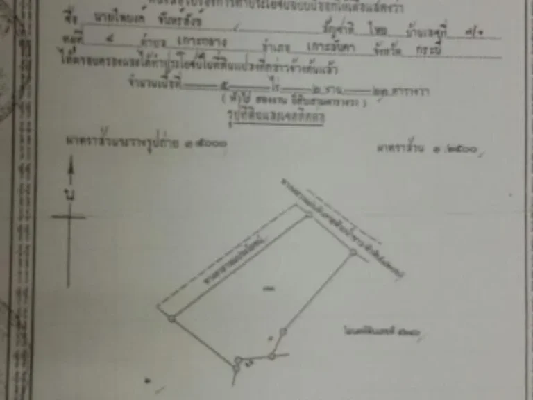 ขายที่ดิน