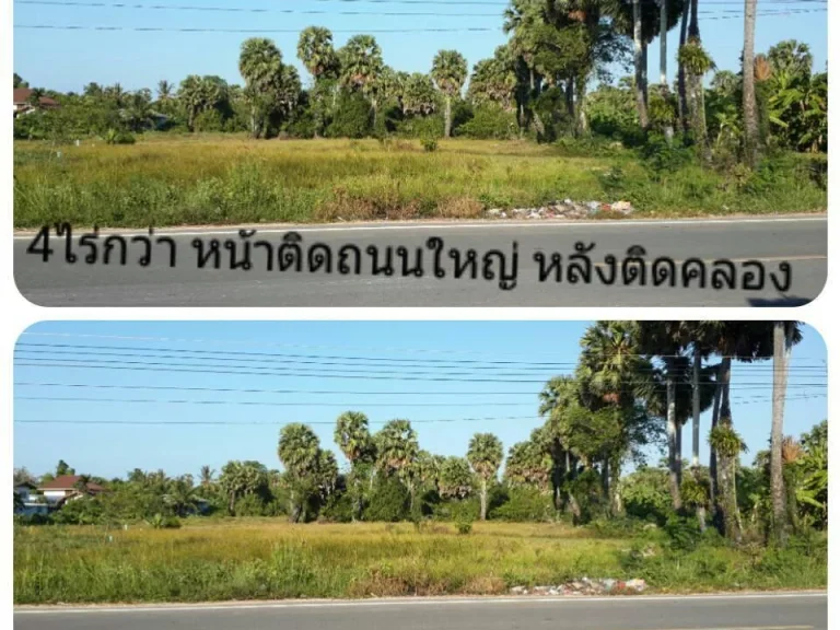 ให้เช่าที่ดิน