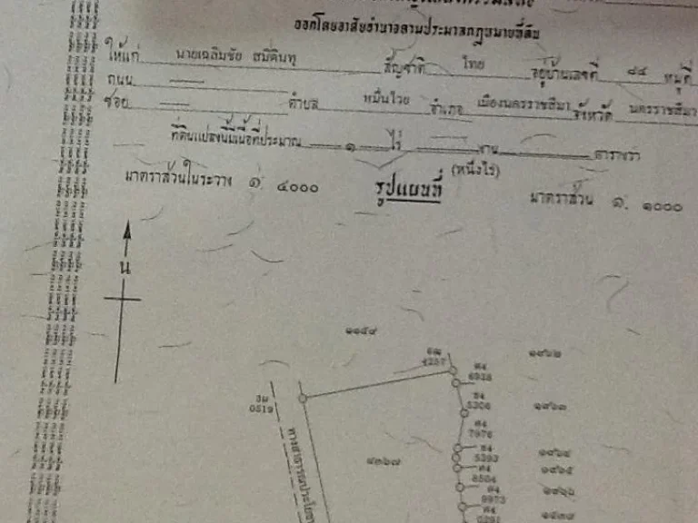 ขายที่ดิน 1 ไร่ พร้อมบ้านพัก