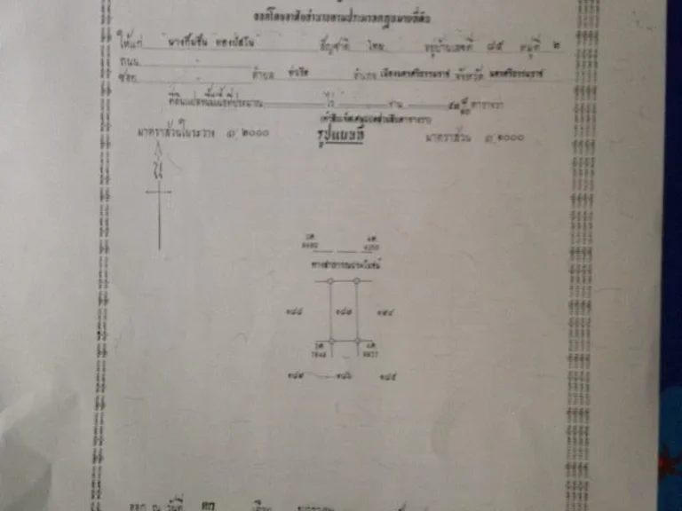 ขายด่วน ที่ดินราคาถูก 58 ตรว ติดร่วค่ายวชิราวุธ ไกล้ท่าแพ