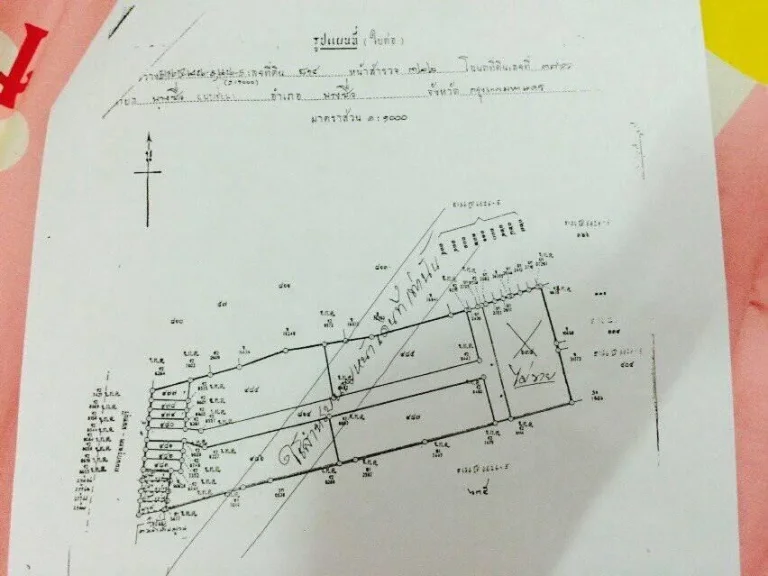 ขายด่วนที่ดินเขตบางซื่อ ถนนกรุงเทพนนทบุรี 5 ไร่ ตรวละ350000