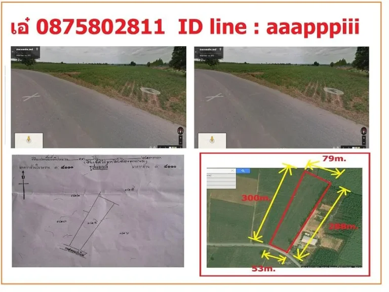 ขายที่ดิน 11 ไร่ กว่าไร่ละ 6 แสน ติดถนนลาดยาง ใกล้331เพียง1km ไฟแรงสูง ที่สูง ทำโกดังได้