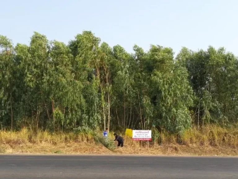 ที่ดินทำเลดี ติดถนน พร้อมโฉนด