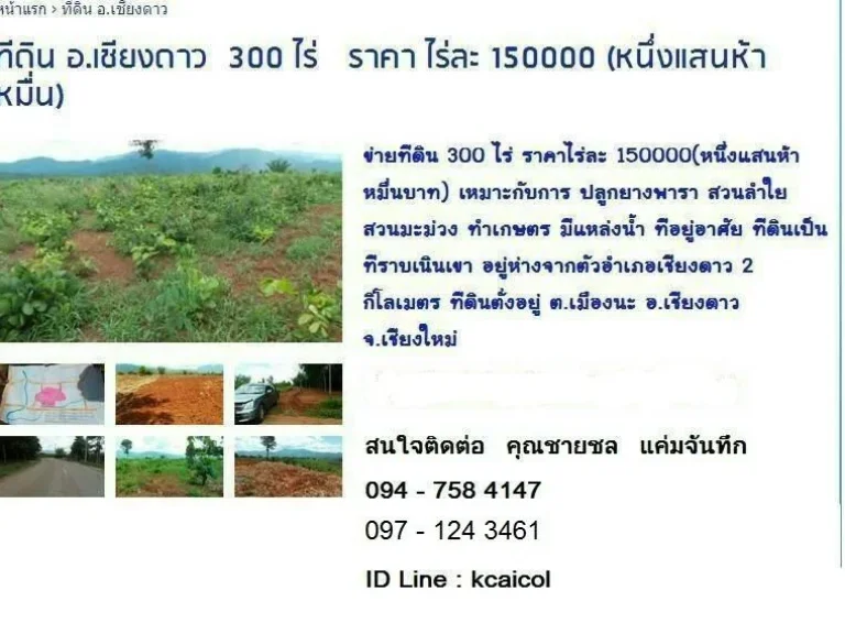 ทีดิน อเชียงดาว 300 ไร่ ราคา ไร่ละ 150000 หนึ่งแสนห้าหมื่น