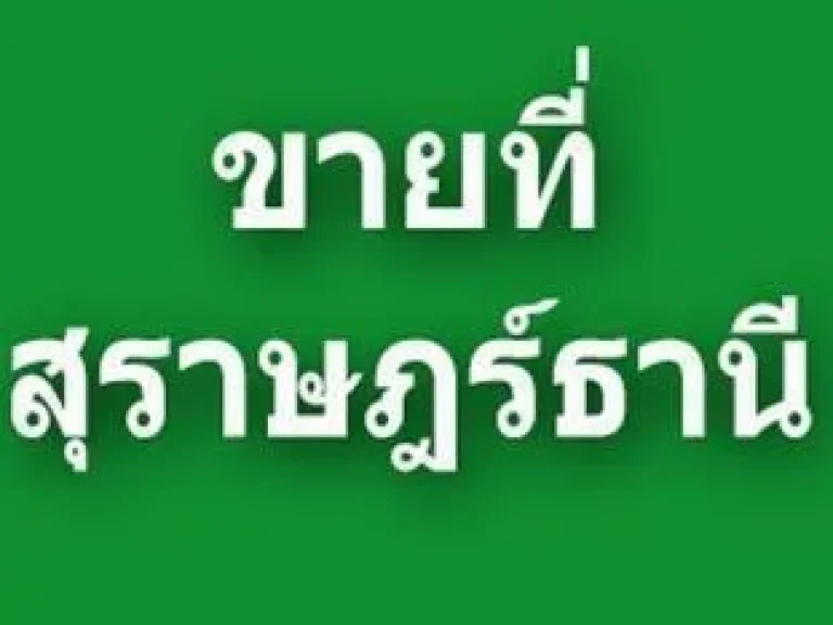 ขายที่ดินสุราษฎร์ธานี เกาะพะงัน โฉลกหลำ Land fpr sale in Surat ThaniThailand Road through the land