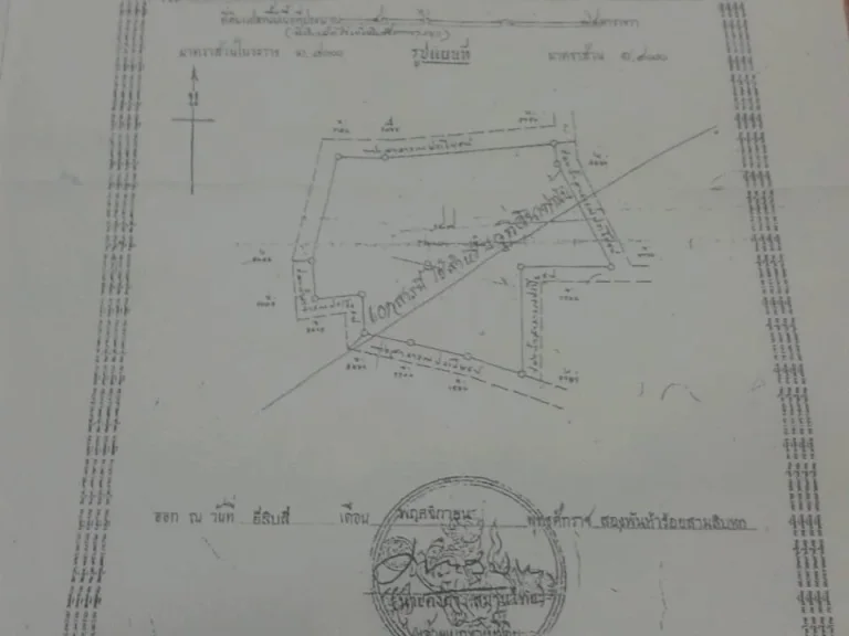 ขายที่ดิน พนัสนิคม 41 ไร่