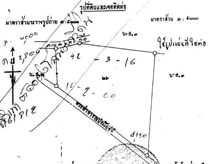 ขายที่ดิน 53 ไร่เศษ พร้อมสวนป่าสัก อายุ 16-20 ปี อบึงสามพัน ขายเหมา 6 ล้าน