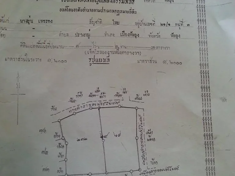 ขายที่ดินจังหวัดพัทลุง