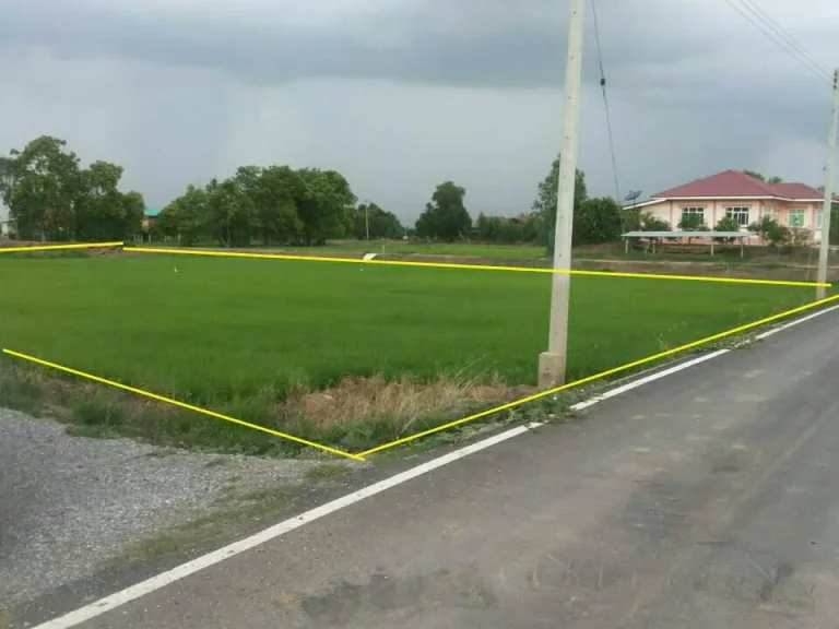 ขายที่ดิน 11ไร่ ใกล้ถนน อำเภอบางซ้าย จังหวัดพระนครศรีอยุธยา