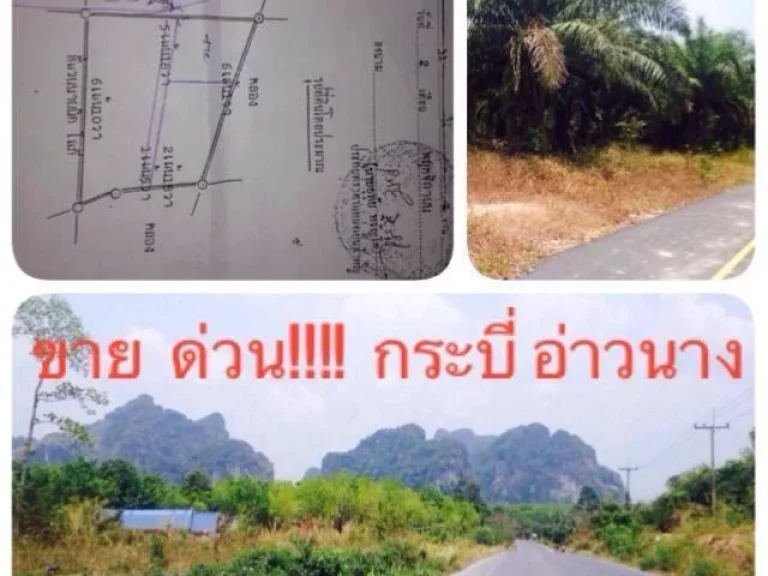 ที่ดินทำเล ดี ราคาต่อรองได้ จำนวน 5ไร่ ตำบล อ่าวนาง กระบี่ เจ้าของขายเอง