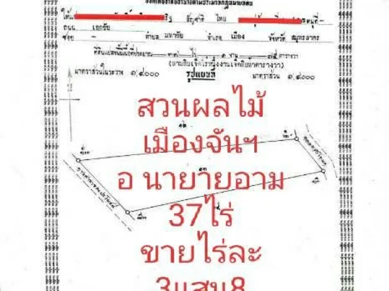 ขายถูกสวนผลไม้เมืองจันฯ37ไร่1ง57ตรวขายไร่38แสน