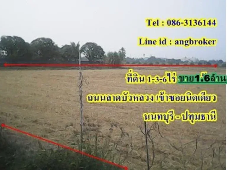 ขายที่ดินติดถนนไทรน้อย-ลาดบัวหลวง 1-3-6 ไร่ ขายรวม 16 ล้าน