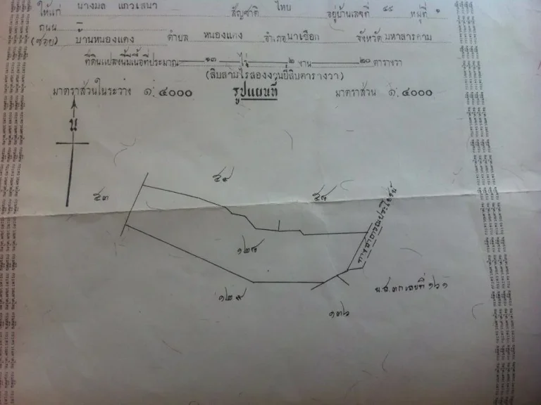 ขายที่ดินที่นา 13ไร่ จังหวัด มหาสารคาม