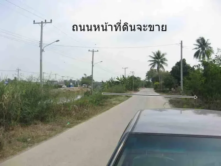 ขายที่ดิน 2 ไร่เศษใกล้แยกนพวงศ์ เข้าออกไปหลายทางติดถนน เหมา 5 ล้าน