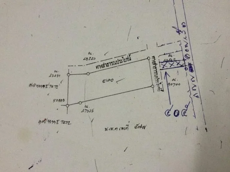 ขายที่ดิน11 ไร่กว่า 2 แปลงติดกัน ตามโฉนด