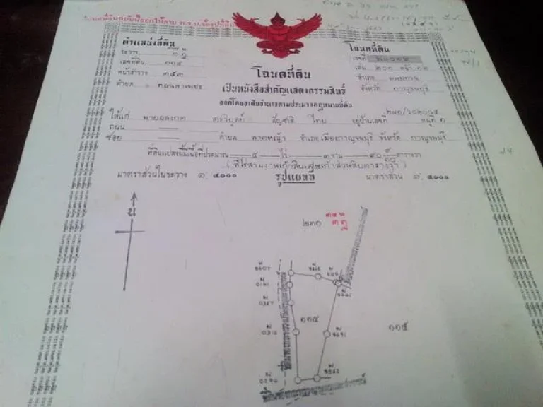 ขายที่ดิน5ไร่ติดทางสาธารณะ