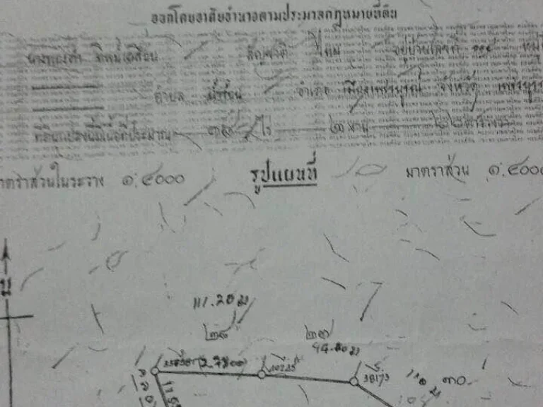 ขายด่วนร้อนเงินสุดๆ ที่ดิน 18 ไร่ พร้อมสัก5000ตันอายุ20ปี