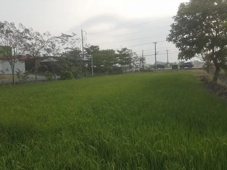 ขายที่ดินเปล่าติดถนนพหลโยธิน อากาศดี ใกล้ร้านก๋วยเตี๋ยว เนื้อที่ 5 ไร่