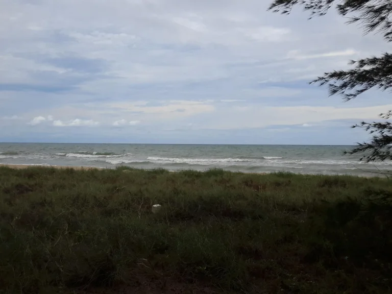 ที่ดินติดทะเลชายหาดส่วนตัวระยอง เจ้าของขายเองถูกมาก