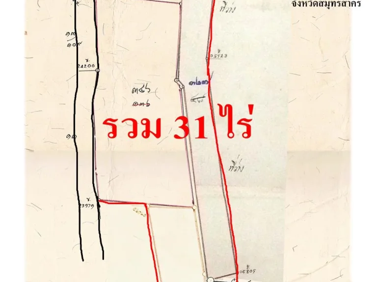 ขายที่ 31 ไร่ ตบ้านเกาะ ติดถนนลาดยาง เจ้าของขายเอง