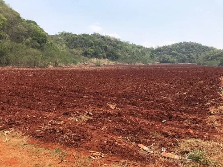 ที่ดินหนองสาหร่าย บ้านหนองหมาก ปากช่อง เขาใหญ่ 100ไร่ ขายเหมา 55 ล้าน วิวเขาใหญ่ หน้าติดถนนลาดยาง