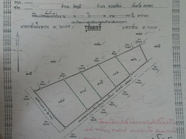 ขายที่ดินถมแล้วหลายแปลง ตควนโส อควนเนียง ติดถนนใหญ่