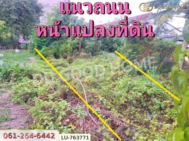 ที่ดินหมู่บ้านปั้นทอง 3 30 ตรว บางเขน ใกล้เซ็นทรัลรามอินทรา