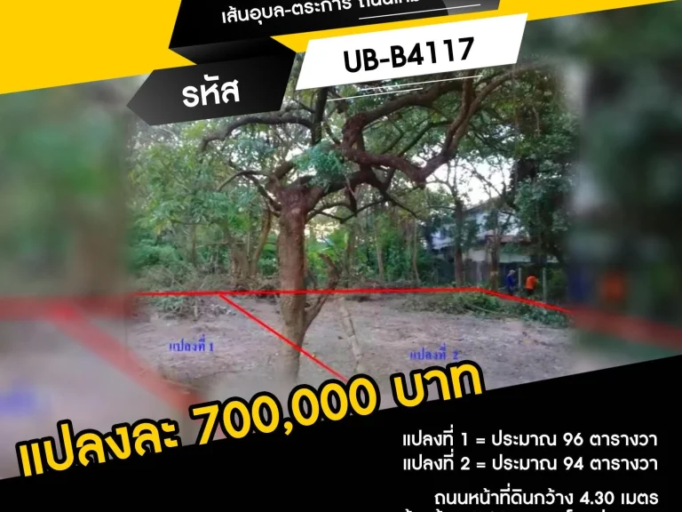 ที่ดินเปล่าทำเลทอง เส้นอุบล-ตระการ ถนนใหม่ 4 เลน