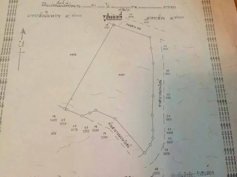 ขายที่ดิน50ไร่ ราคาถูกที่โฉนด