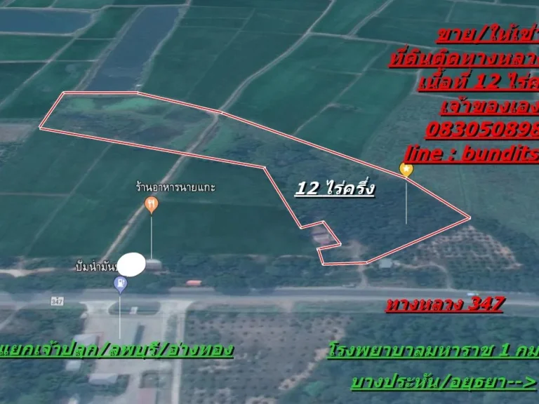 ขายให้เช่าที่ดินติดทางหลวง347เนื้อที่ 12ไร่ครึ่ง