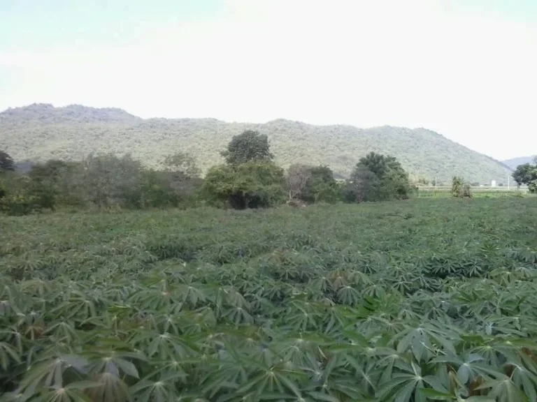 โฉนดที่ดิน ตำบลหินซ้อน อำเภอแก่งคอย จังหวัดสระบุรี