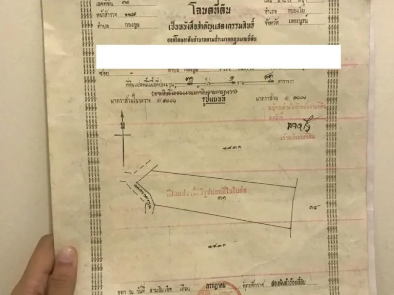 ที่ดินว่างเปล่า 10-1-94 ไร่ ติดแม่น้ำป่าสัก ตกองทูล อ หนองไผ่ จเพชรบูรณ์ เอกสารโฉนด รวมค่าโอนฯ แล้ว ต่อได้ เจ้าของอยากขาย