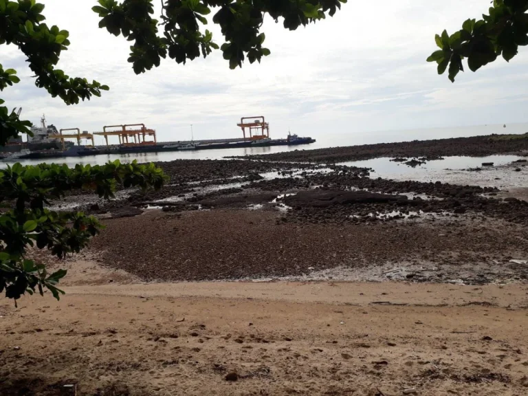 ขายที่ดินติดชายทะเล หาดอ่าวเทียน อบางสะพาน จประจวบคีรีขันธ์