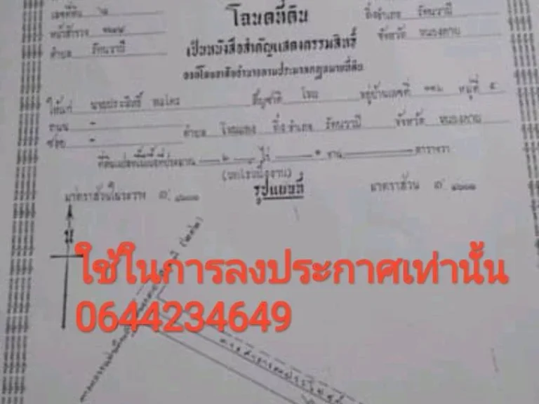 ที่ดินสวนยางพาราที่โฉนด อรัตนวาปี จหนองคาย