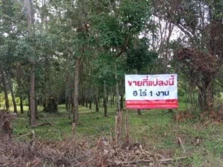 ที่ดินสวนยางพาราที่โฉนด อรัตนวาปี จหนองคาย