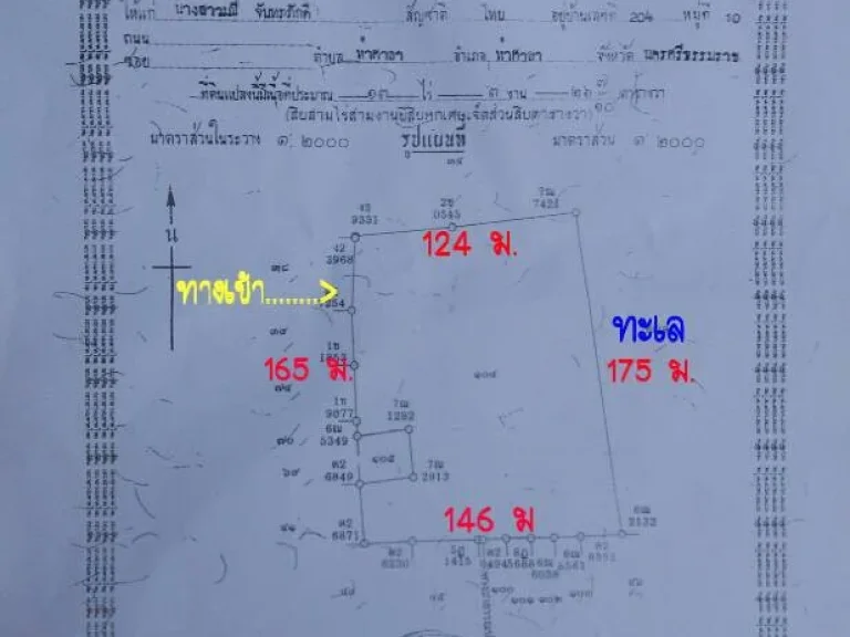 ที่ดินสวยติดทะเลท่าศาลา