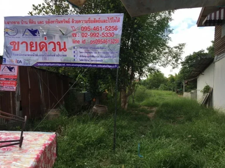 ขายที่ดิน ขนาด 2325 ตรว น้ำ-ไฟฟ้าเข้าถึง ตบ้านกร่าง อเมือง จพิษณุโลก