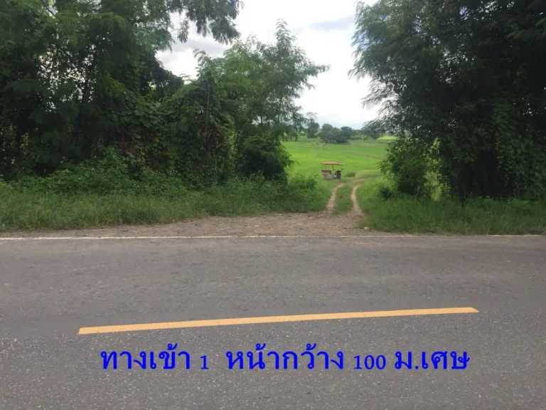 ขายที่ดิน 456-3-84 ไร่ ดอยสะเก็ด ไม่ไกลโครงการสนามบินแห่งที่ 2 ติดถนนสองด้าน มีน้ำใช้ตลอดปี