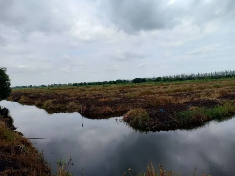 ขายที่ดินแปลงสวย ติดถนน หนองเสือ ปทุมธานี