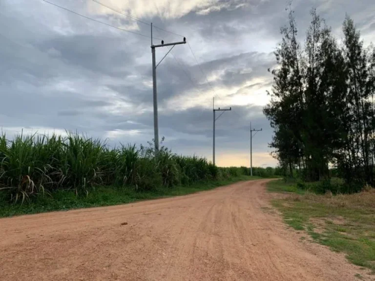 ขายที่ดินเปล่าอำเภอหัวหิน จังหวัดประจวบ เนื้อที่ 22 ไร่