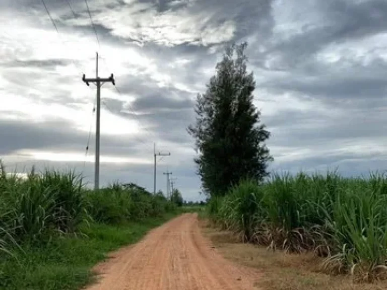 ขายที่ดินเปล่าอำเภอหัวหิน จังหวัดประจวบ เนื้อที่ 22 ไร่