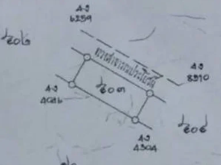 ขายด่วนที่ดิน 2 ไร่ ตพนานิคม อนิคมพัฒนา ระยอง