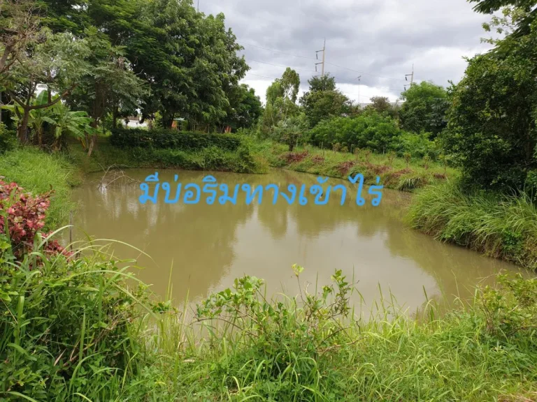 ขายที่ดิน เพชรบุรี